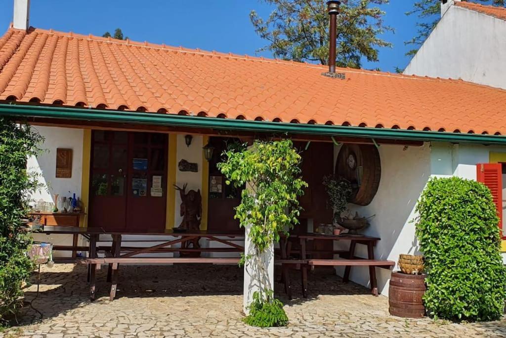 Quinta Flores Феррейра-ду-Зезери Экстерьер фото